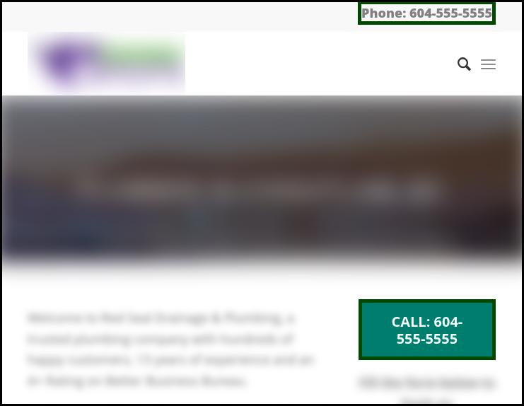 Plumber website home page